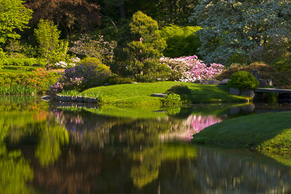 MT-20110607-081702-0021-Maine-Asticou-Azalea-Garden-reflection.jpg