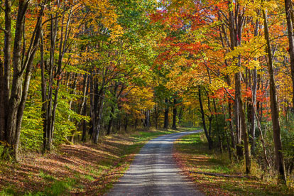 MT-20171021-092849-0001-Autumn-Maples-Road-Watkins-Glen-New-York.jpg