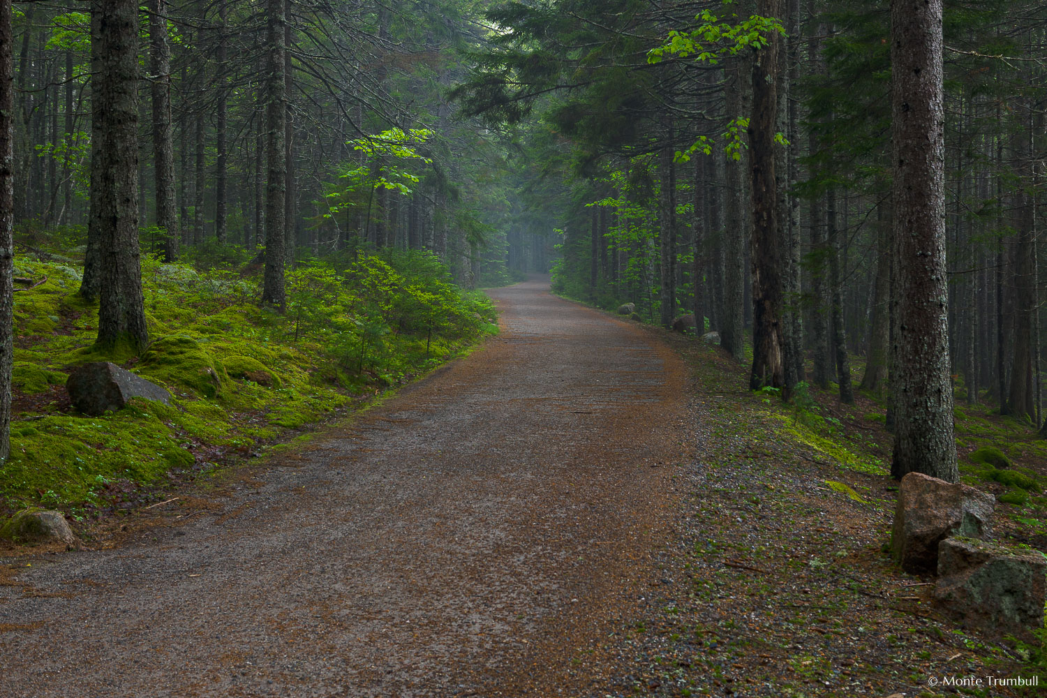 MT-20110609-074436-0005-Maine-Acadia-National-Park-carriage-road-mist.jpg