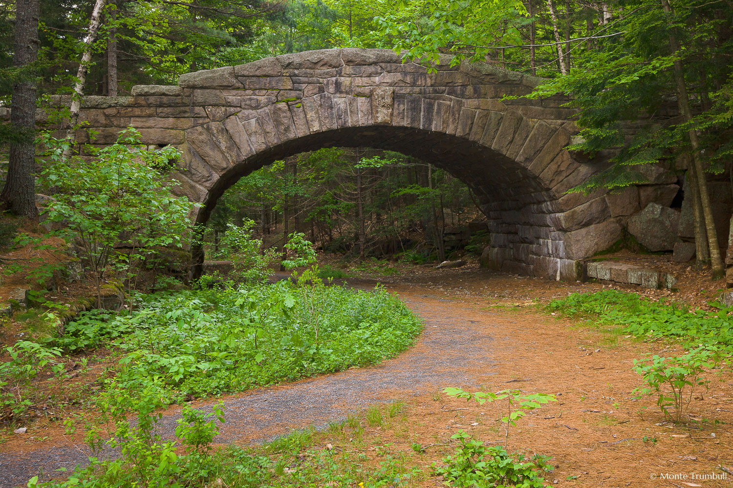 MT-20110610-071057-0011-Maine-Acadia-National-Park-Bubble-Pond-Bridge.jpg