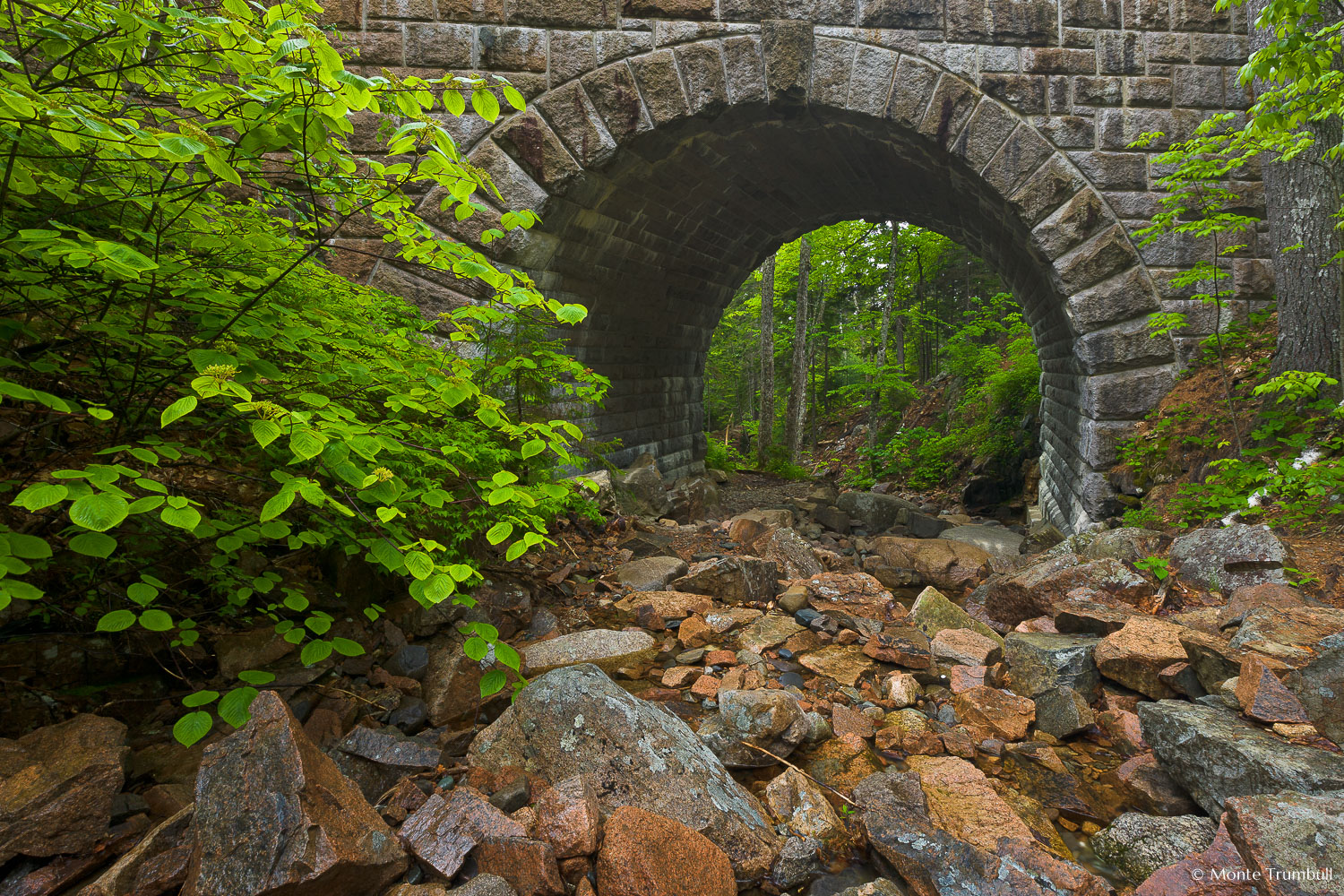 MT-20110612-065603-0003-Maine-Acadia-National-Park-Waterfall-Bridge.jpg