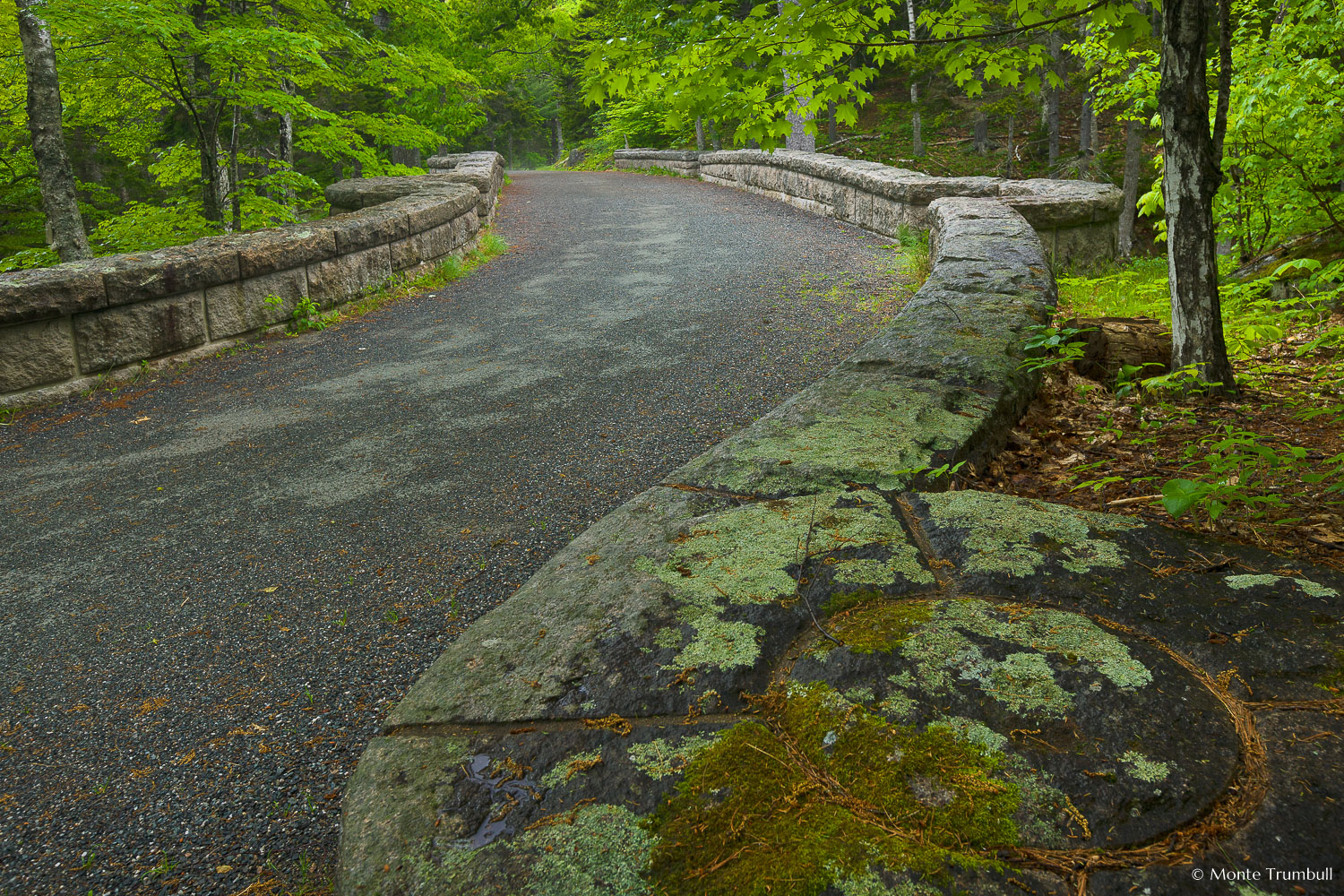 MT-20110612-072209-0004-Maine-Acadia-National-Park-Waterfall-Bridge-carriage-road.jpg