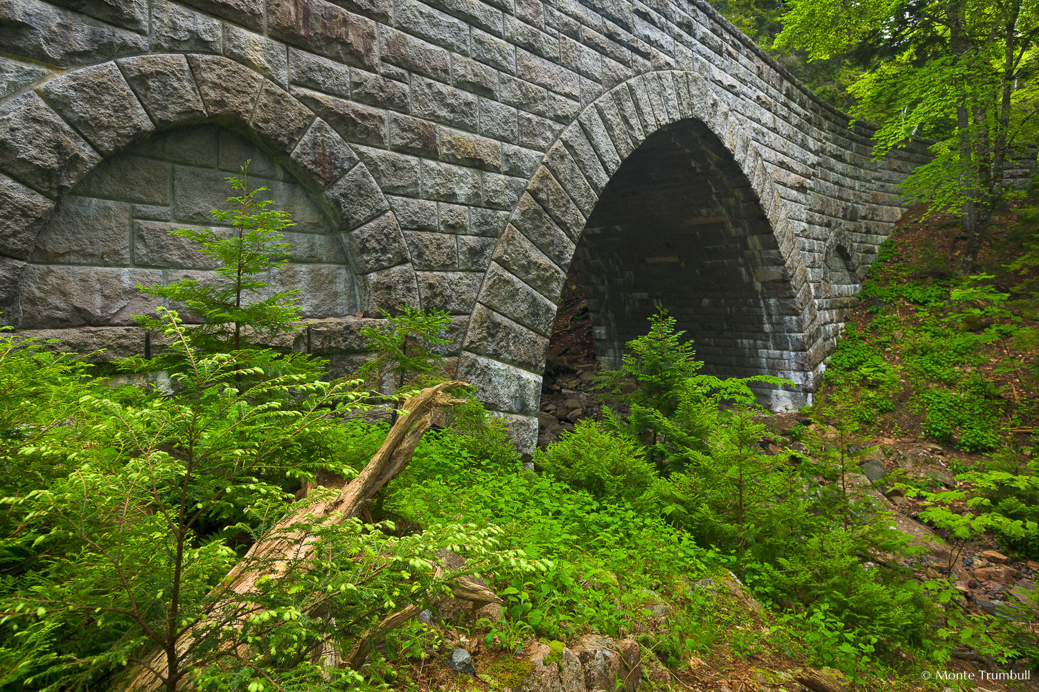 MT-20110612-075045-0006-Maine-Acadia-National-Park-Hemlock-Bridge.jpg