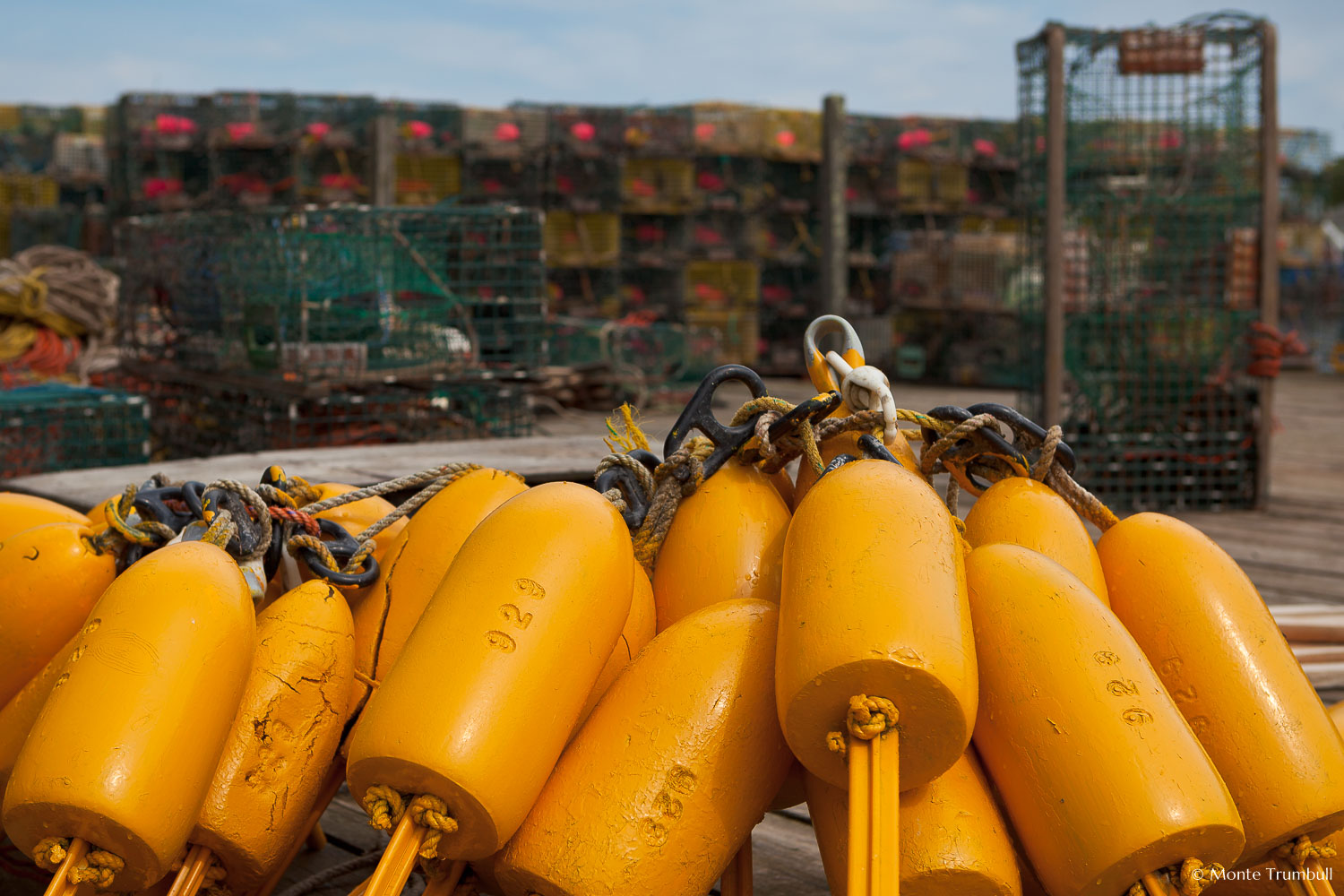 MT-20110615-093857-0045-Maine-Port-Clyde-lobster-bouys-traps-dock.jpg