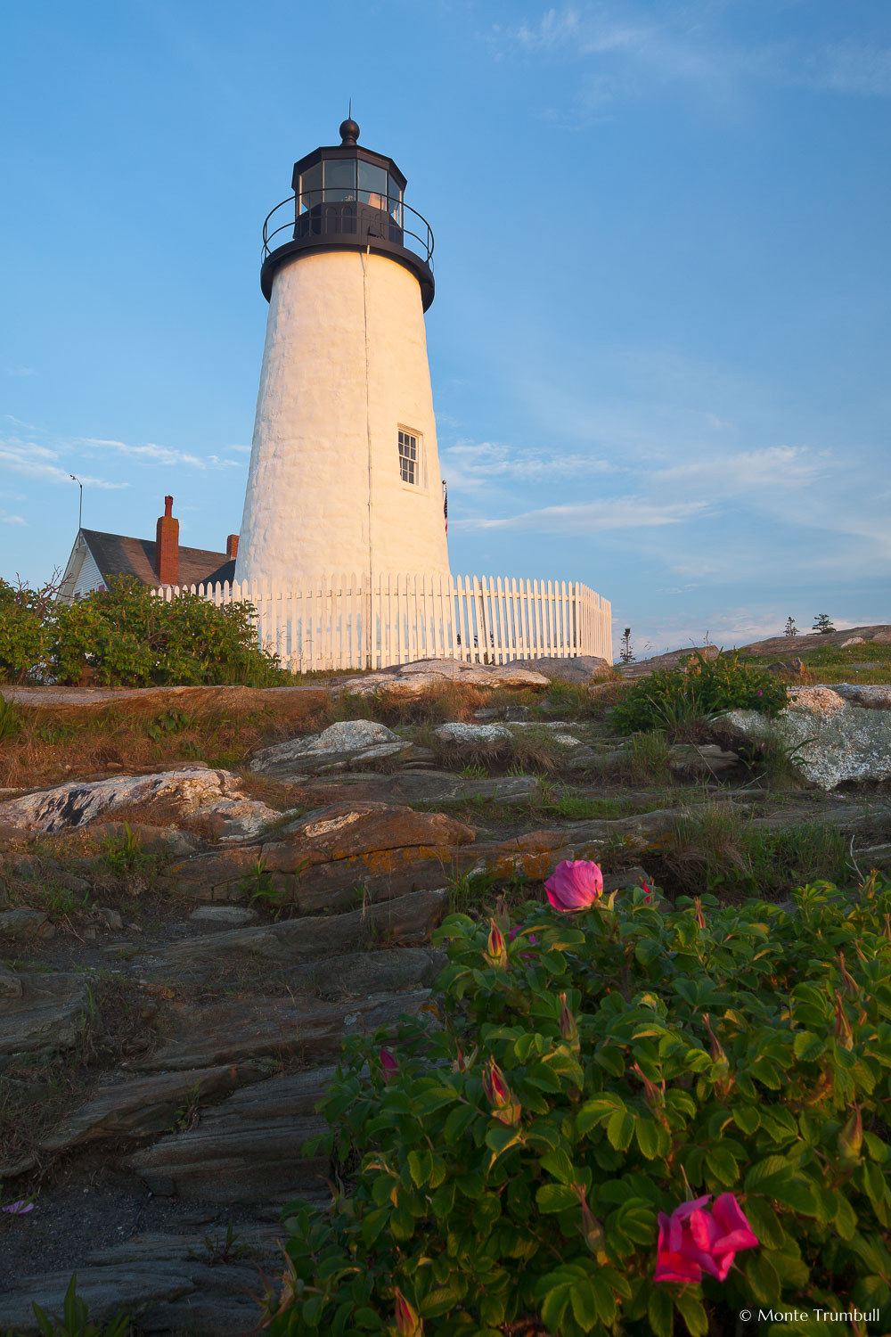 MT-20110616-052417-0014-Maine-Pemaquid-Point-Light-morning-flowers.jpg