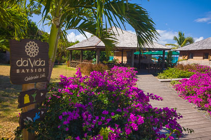 MT-20110212-111618-0150-Anguilla-Lower-Crocus-Bay-DaVida-flowers.jpg