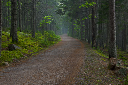 MT-20110609-074436-0005-Maine-Acadia-National-Park-carriage-road-mist.jpg