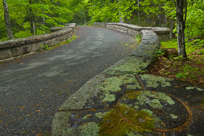 MT-20110612-072209-0004-Maine-Acadia-National-Park-Waterfall-Bridge-carriage-road.jpg