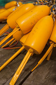 MT-20110615-092441-0041-Maine-Port-Clyde-lobster-bouys.jpg