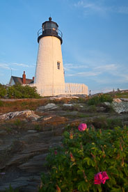 MT-20110616-052417-0014-Maine-Pemaquid-Point-Light-morning-flowers.jpg
