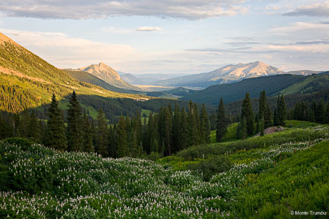A view down Washington Gulch as the evening light bathes the mountains around Crested Butte in Colorado.